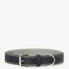 Extra Large Leather Dog Collar