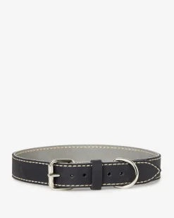 Extra Large Leather Dog Collar
