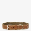 Extra Large Leather Dog Collar