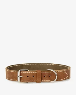 Extra Large Leather Dog Collar