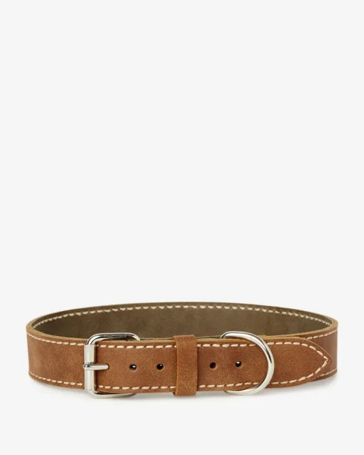 Extra Large Leather Dog Collar