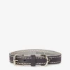 Extra Small Leather Dog Collar