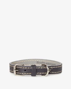 Extra Small Leather Dog Collar