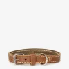 Extra Small Leather Dog Collar