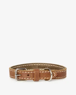 Extra Small Leather Dog Collar