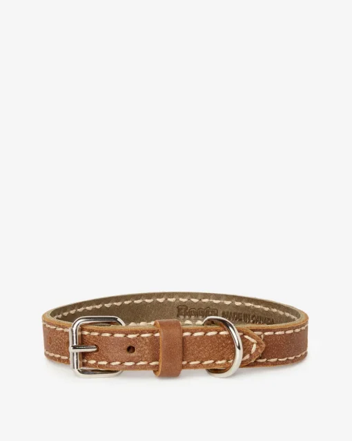 Extra Small Leather Dog Collar