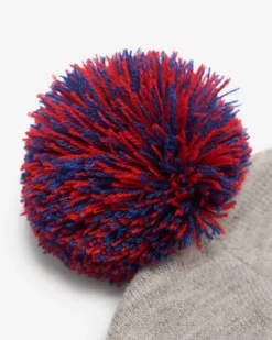 Hockey Toque
