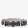 Large Leather Dog Collar