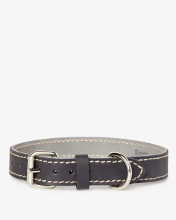 Large Leather Dog Collar