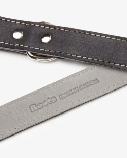 Leather Dog Leash