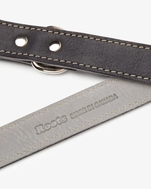 Leather Dog Leash