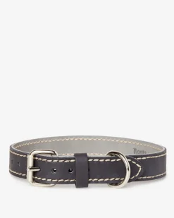 Medium Leather Dog Collar