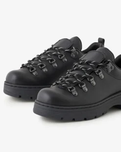 Nordic Shoe