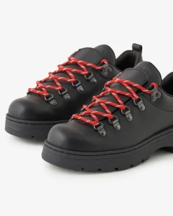 Nordic Shoe