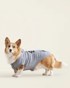 Pooch Original Kanga Size 16-20