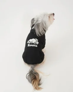 Pooch Original Kanga Size 24