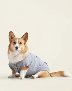 Pooch Original Kanga Size 16-20