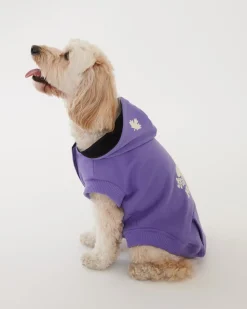 Pooch Original Kanga Size 16-20