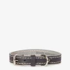 Small Leather Dog Collar